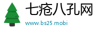 七疮八孔网