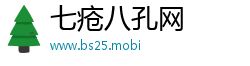 七疮八孔网